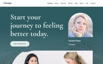 Analyze this: Our ‘Therapy’ WordPress theme!